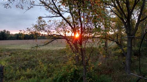 IMG_20171013_182049913_HDR.thumb.jpg.be4054a16cb0f5c39b44cb7d17121651.jpg