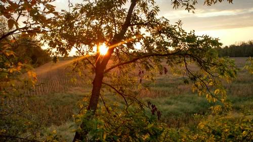IMG_20171014_074158543_HDR.jpg