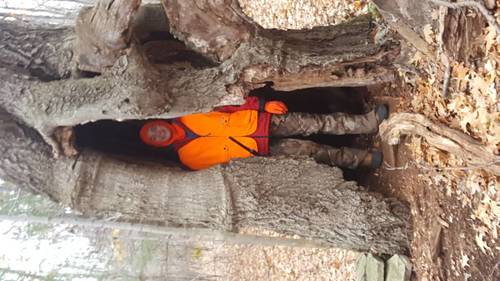 20171118_143537.jpg