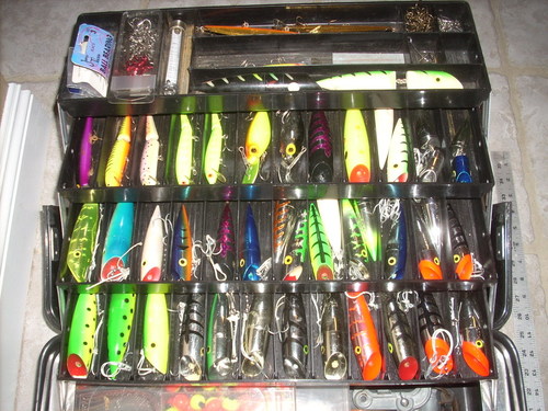 DSCN2228.JPG
