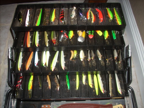 DSCN2229.JPG