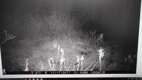 IMG_20171123_112737855.thumb.jpg.648e10d8cb0491293b48898eb1e6dc48.jpg