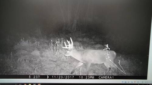 IMG_20171123_114059659.thumb.jpg.b89f62747bf9b81593ecdcde6b863cb1.jpg