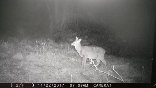 IMG_20171123_114606443.jpg