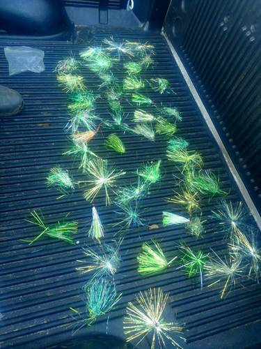 IMG_20171124_131644269_HDR.thumb.jpg.305b7fd92626df9736123e24eebc43c0.jpg