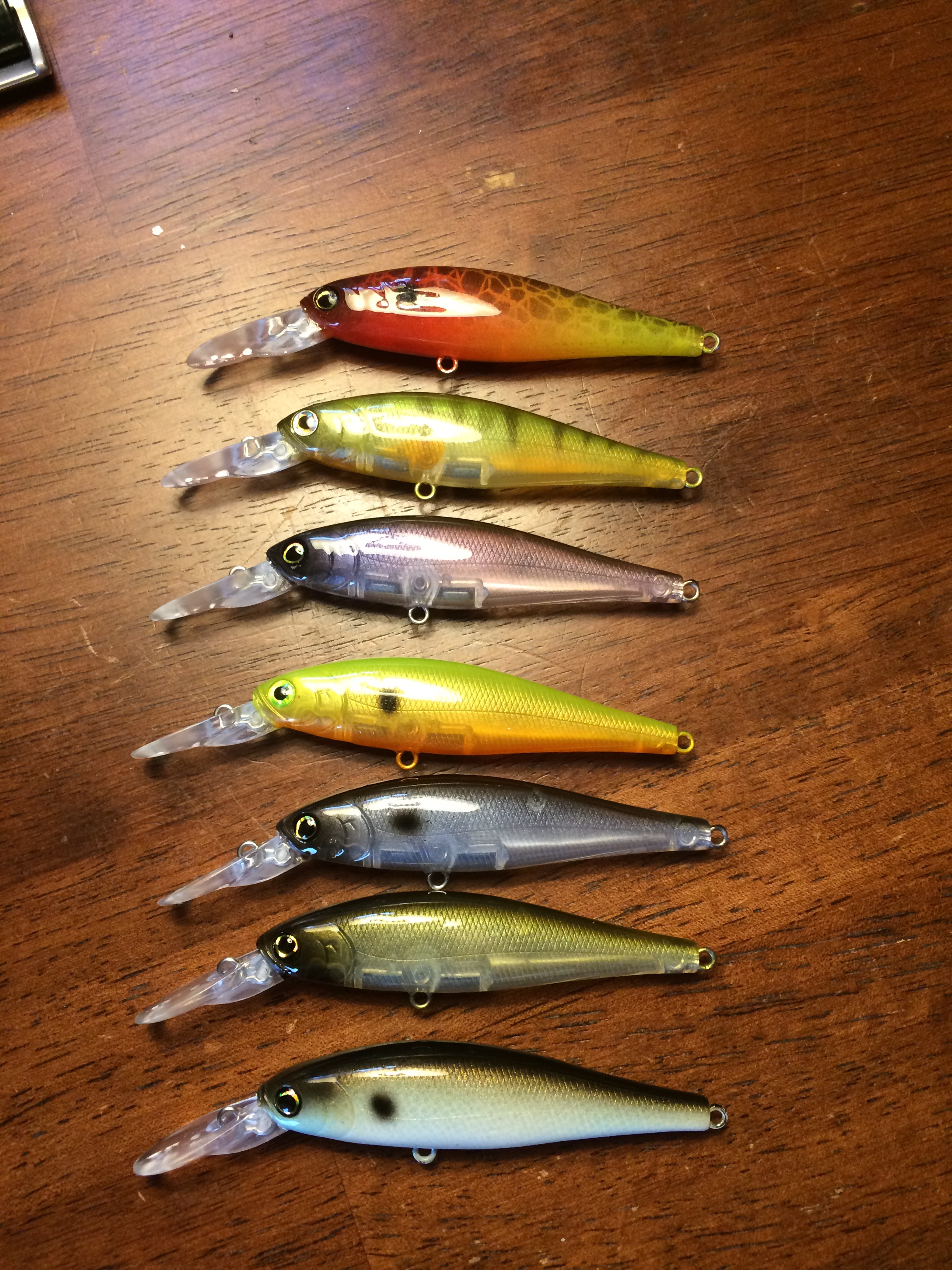 New paint lineup and a tiger trout - Tackle and Techniques - Lake