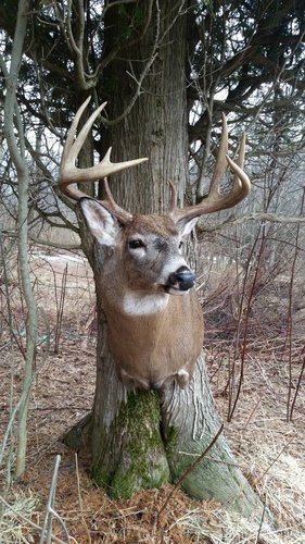20150408_141524.jpg