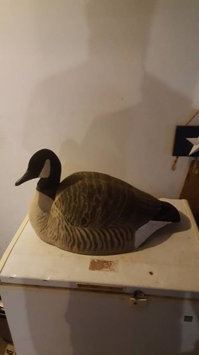 20171230_110403.jpg