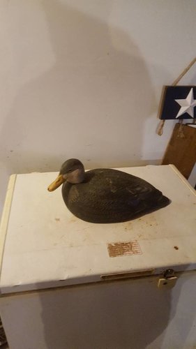 20171230_110419.jpg