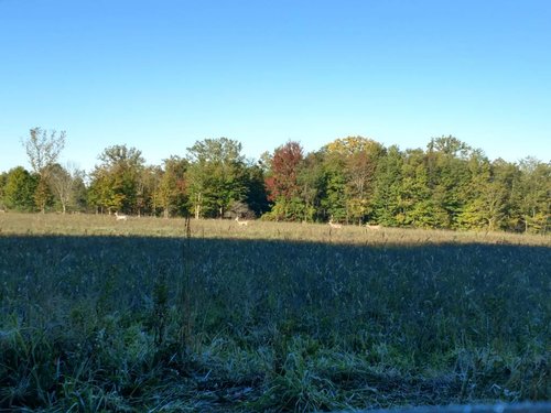 IMG_20171001_084048128_HDR.thumb.jpg.d51b75d1fa6e328e19f9ccf374ffb419.jpg
