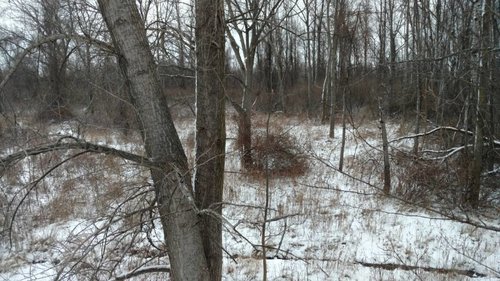 IMG_20171211_075356072.jpg