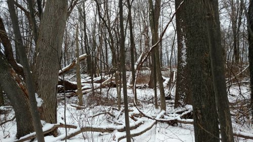 IMG_20171211_155612924.jpg