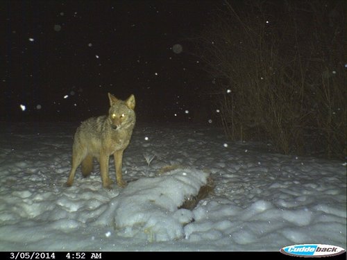 Image1514514717.413574.jpg