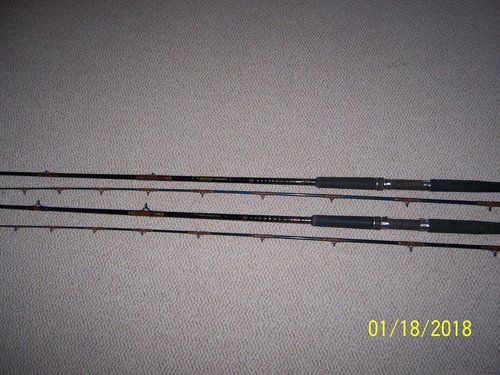 100_1034.jpg