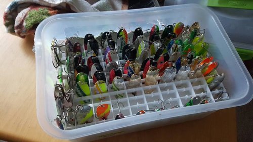 20170601_202430.jpg