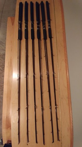 fish doctor rods.jpg