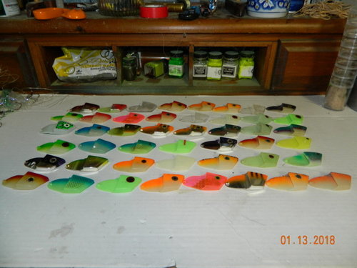 DSCN0567.JPG
