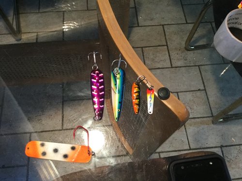 E014861A-8D94-4E01-91FB-171B84CEF654.thumb.jpeg.e47ac5e916af94de82dd5c2c6b49c836.jpeg