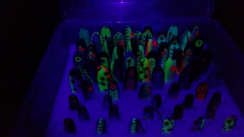IMG_20180130_194954160.jpg