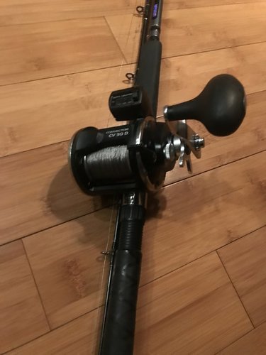 rod1.JPG