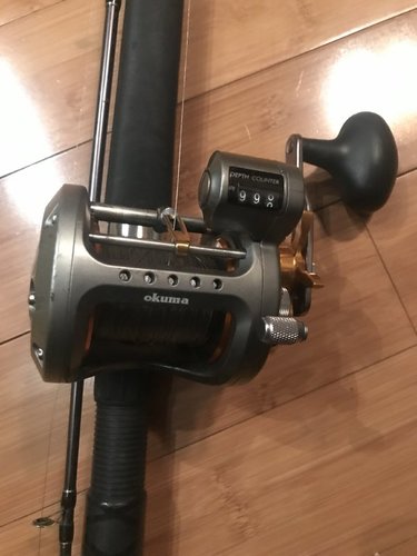 rod3.JPG