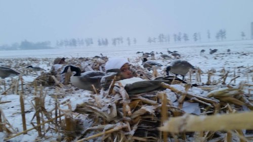 20180116_164730.jpg