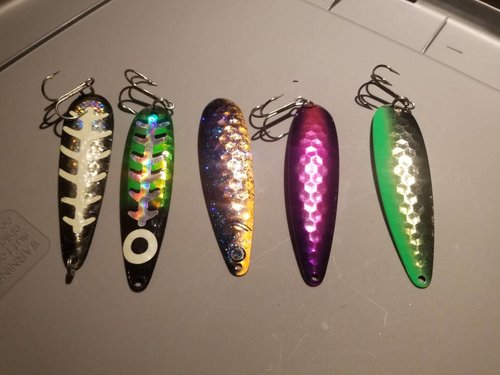 20180209_145230.thumb.jpg.af7e4cf545d9e5520a1031bd944e926b.jpg