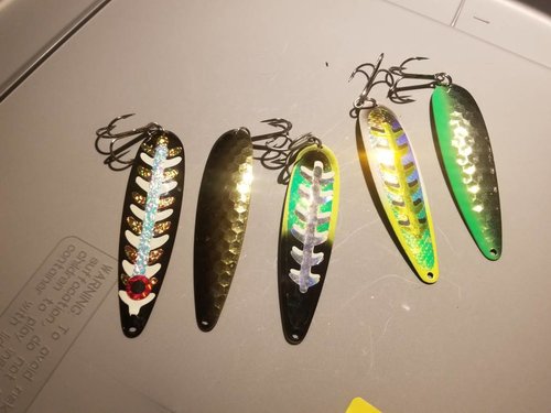 20180209_145256.thumb.jpg.0a2b0aa8d8e6fd35c9331c1948fb5861.jpg