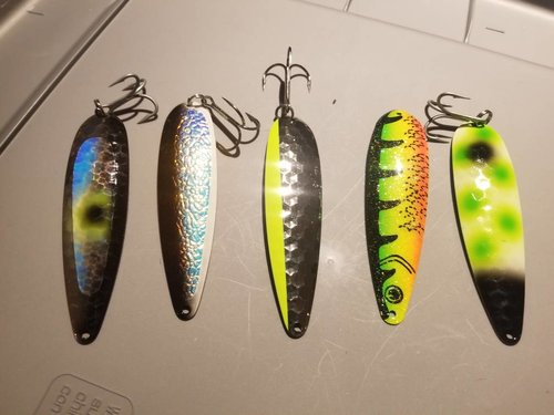20180209_145353.thumb.jpg.eebd926b713a031ac3be56b70db94e8c.jpg