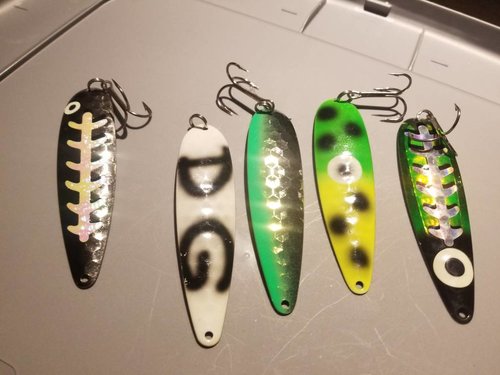 20180209_145418.thumb.jpg.9f31c97c1020b5b114551f3d936b5ba1.jpg