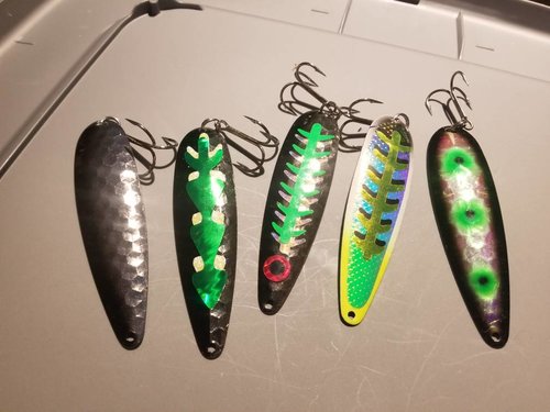 20180209_145505.thumb.jpg.17a58068479503ae913280da3b392187.jpg