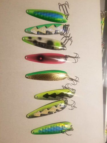 20180211_172142.thumb.jpg.ada83037068cf57307d0b0437ae4e017.jpg