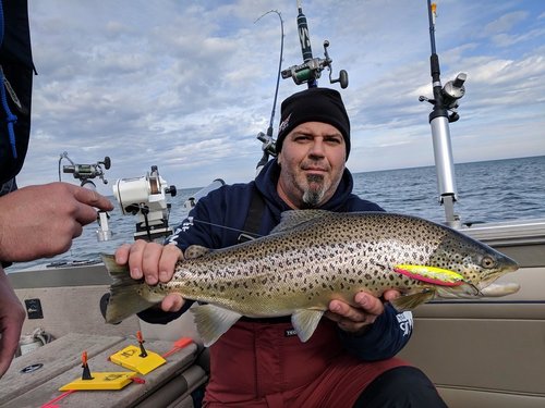 28070485_10155421100736194_5307930945697185381_o.thumb.jpg.f97000fe101a6644f2ec4987ce504d61.jpg
