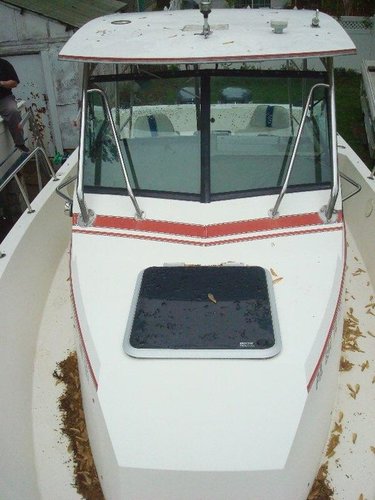 IMG955326.jpg