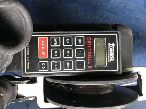 IMG_3909.JPG