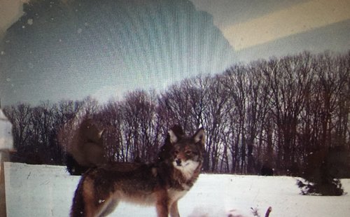 Image1518473663.801098.jpg