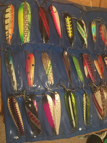 Image1519080234.019158.jpg
