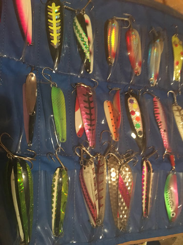 Image1519080248.005517.jpg