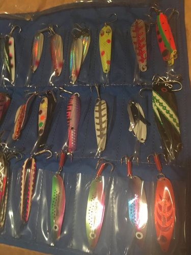 Image1519080259.394913.jpg
