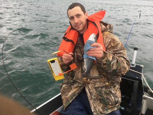 fish1.jpeg