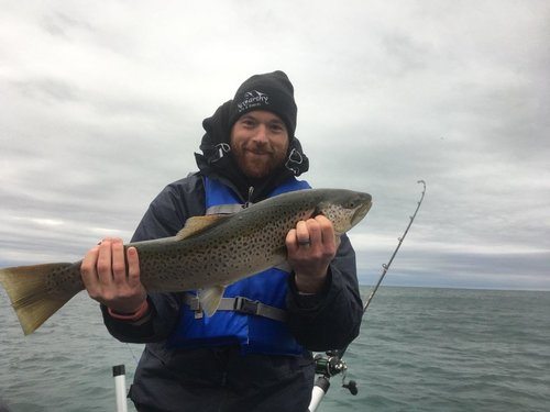 fish2.jpeg