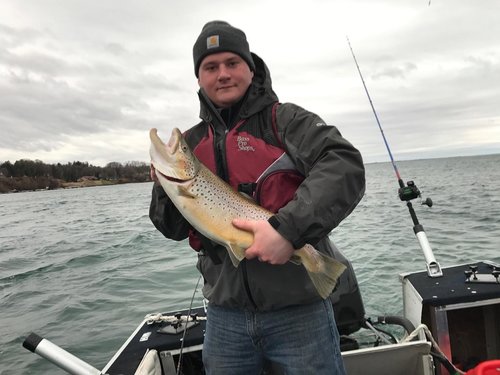 fish3.jpeg