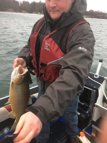 fish4.jpeg
