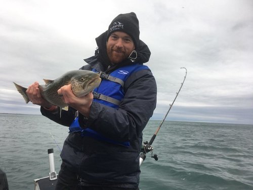 fish5.jpeg
