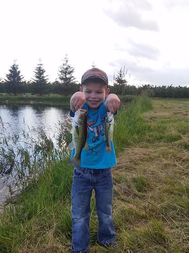 0620171900_HDR(1).thumb.jpg.2cbe21a5e0acedab3718a30d67c8ac0b.jpg