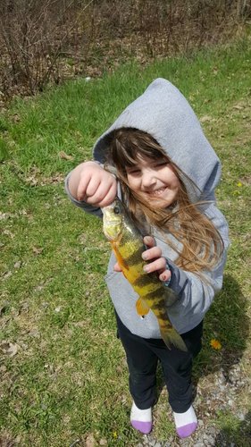 20170422_135853.jpg