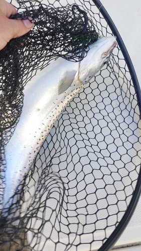 20170704_103153.jpg