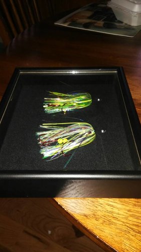 20180220_160746.thumb.jpg.b3ac2e398b2980bc405c71193be3ee38.jpg