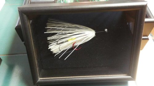 20180302_105000.thumb.jpg.583c1a547163046e911ff27c15eba806.jpg