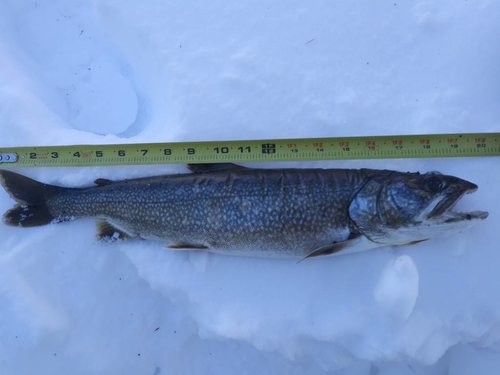 20180304_115935.jpg